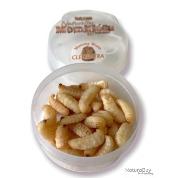 Teignes momifi�es naturelles Greencatch