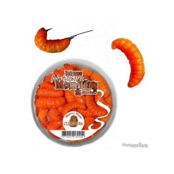 Teignes momifi�es oranges Greencatch