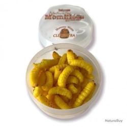 Teignes momifi&eacute;es jaunes Greencatch