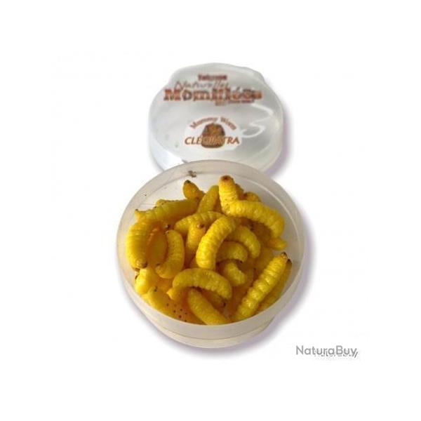 Teignes momifi�es jaunes Greencatch