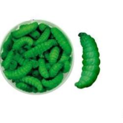 Teignes momifi&eacute;es vertes Greencatch