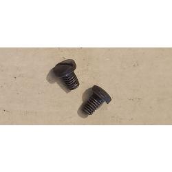 Pistolet Dreyse 1907 : 2 vis de plaque de recouvrement (1355)