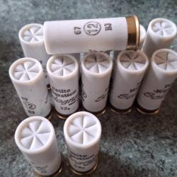 RARES 13 CARTOUCHES CALIBRE 12 65 67 MM PLOMB N&deg; 12 MUNITIONS SOLOGNAC PETITE MIGRATION