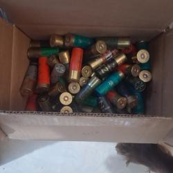 A saisir !!! 5.3 Kg de cartouches de chasse