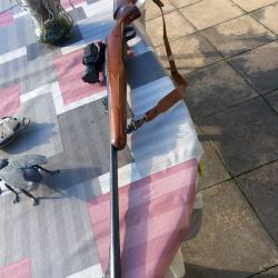 Carabine remington 700