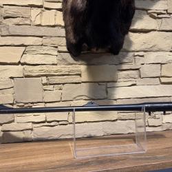 Canon Blaser R8 cal 8x68S + 1 � sans prix de r&eacute;serve