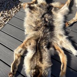 2 peaux de cocottes du canada