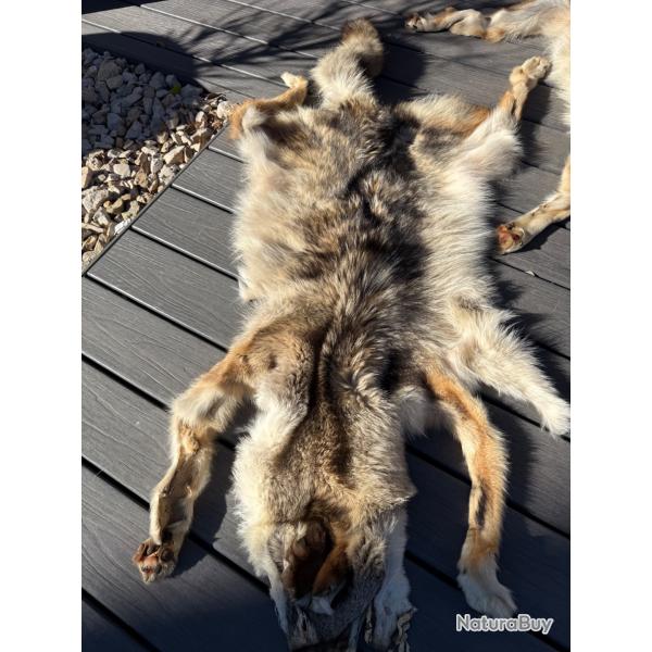 2 peaux de cocottes du canada