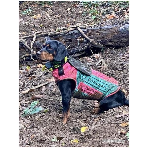 PROMO 2026 !! Gilet de protection pour chien CAUMONT FP.CONCEPTS Beagle 1/2 Fox 5/6