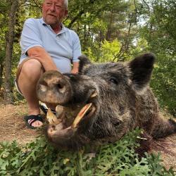 La TURQUIE, le ROYAUME des GRANDS ATTILAS &agrave; l'APPROCHE