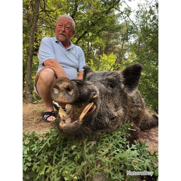 La TURQUIE, le ROYAUME des GRANDS ATTILAS � l'APPROCHE