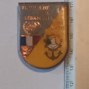 Insigne Militaire tissu Division Salamandre - Collection