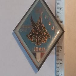 Insigne du 420&egrave;me d&eacute;tachement de soutien logistique (420&egrave;me DSL) - FINUL (Liban)