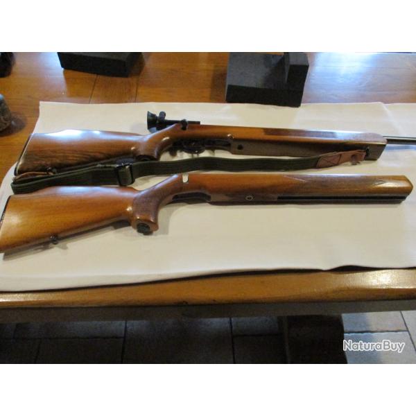 Superbe crosse carabine Buffalo match