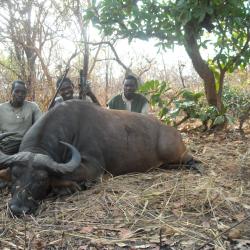 OFFRE SPECIALE REPUBLIQUE CENTRAFRICAINE SAFARI 14 jours  MARS 2026