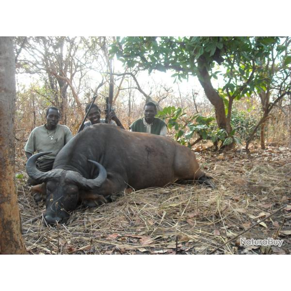 OFFRE SPECIALE REPUBLIQUE CENTRAFRICAINE SAFARI 14 jours  MARS 2026