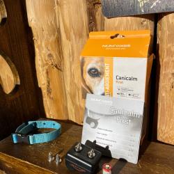 ENCHERES 1� - CANICALM FIRST OCCASION