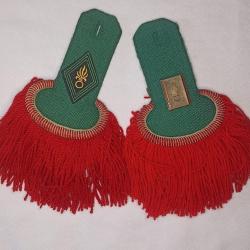 Epaulettes insignes tradition Sous/Off. L&eacute;gion &eacute;trang&egrave;re