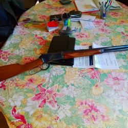 Chiappa 1892 levier action takedown 24 pouces 45 colt