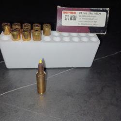 Balle 270wsm norma nosler