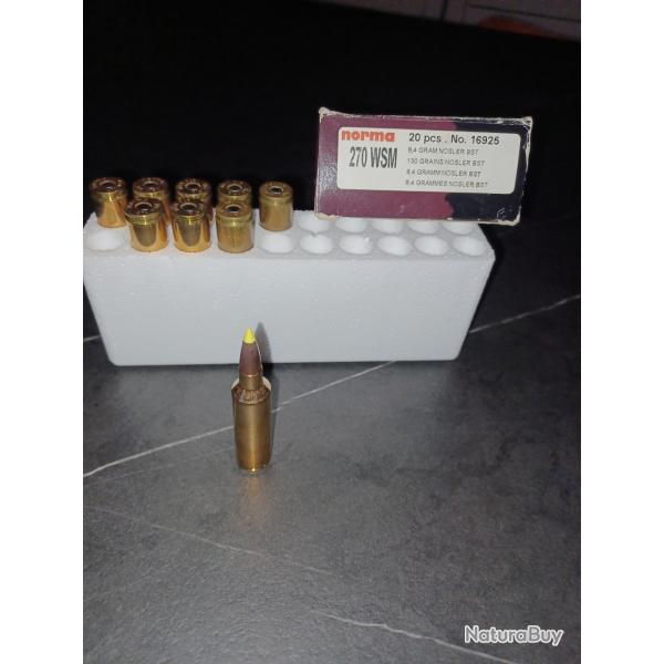 Balle 270wsm norma nosler