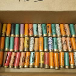 Lot de 95 cartouches cal 16