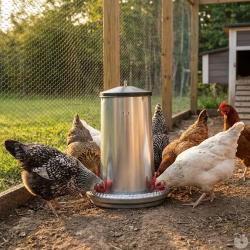 Mangeoires volaille &agrave; tr&eacute;mie m&eacute;tal 5kg en lot de 10