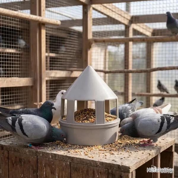 Mangeoire � grit 1,5 L pour pigeons - 3 compartiments