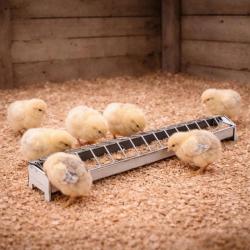 Mangeoire m&eacute;tal poussins 50 cm &agrave; barrettes avec couvercle
