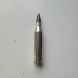 Une cartouche calibre 243 winchester