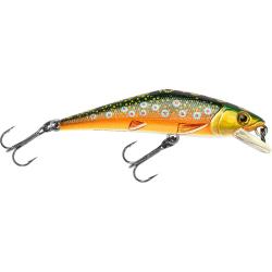 Poisson nageur SMITH D Contact 50 FES T4