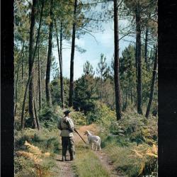 dans les landes d&eacute;part pour la chasse cpm