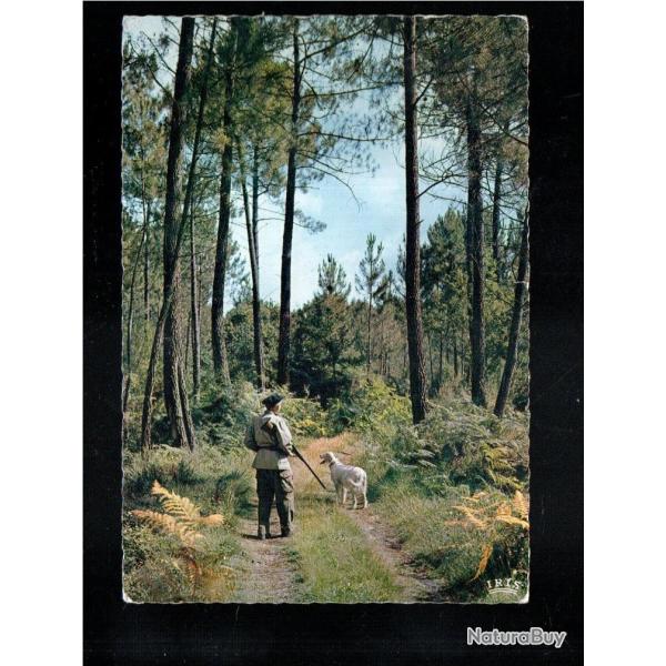 dans les landes d�part pour la chasse cpm