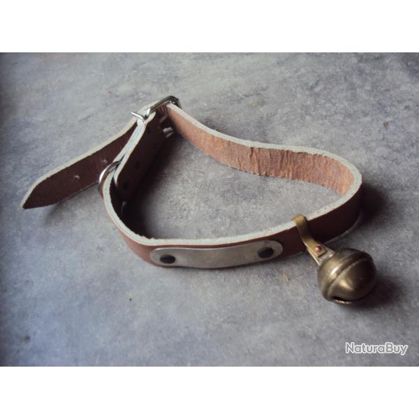 collier chien en cuir + grelot