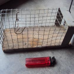 Mini pi&egrave;ge &agrave; souris ancien collection