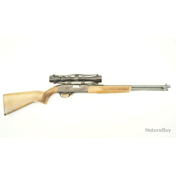 carabine winchester 190 22lr pour enchere 1� 33P33L10