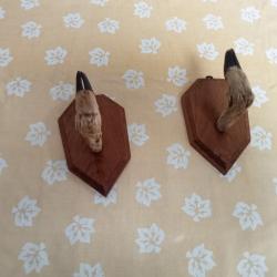 support mural pour fusil