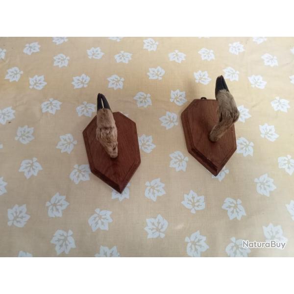 support mural pour fusil