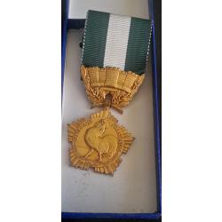 MEDAILLE D HONNEUR DEPARTEMENTALE 2