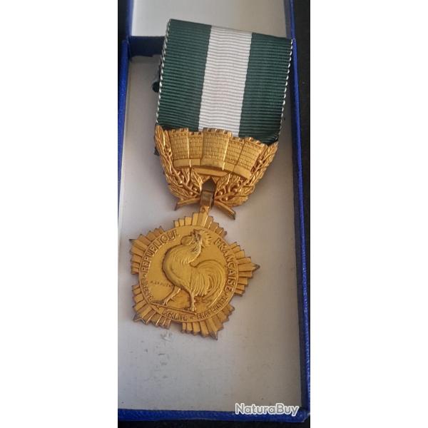 MEDAILLE D HONNEUR DEPARTEMENTALE 2