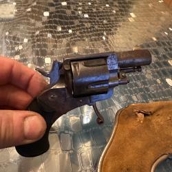 Revolver bulldog