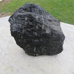 Ancienne grande Gaillette/Morceau de charbon brut extrait de Mine du nord de la FRANCE (XX&eacute;)