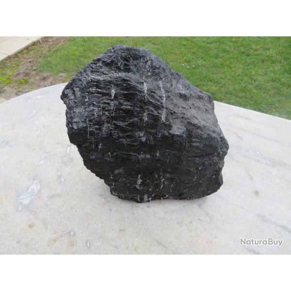 Ancienne grande Gaillette/Morceau de charbon brut extrait de Mine du nord de la FRANCE (XX�)