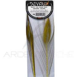 Quill de paon &eacute;barb&eacute;s DEVAUX Jaune