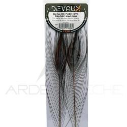 Quill de paon &eacute;barb&eacute;s DEVAUX Marron