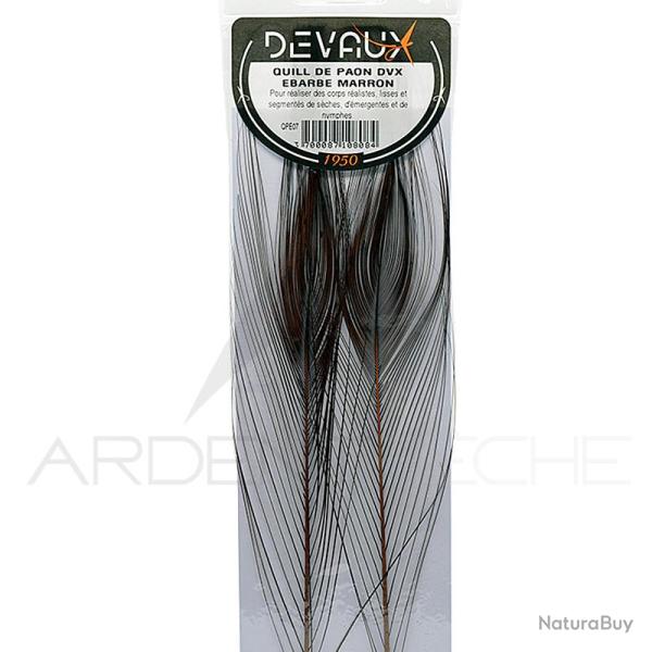 Quill de paon �barb�s DEVAUX Marron