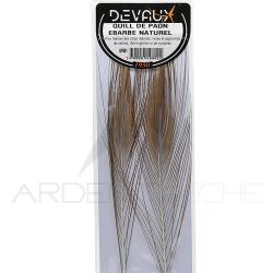 Quill de paon &eacute;barb&eacute;s DEVAUX naturel