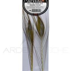 Quill de paon &eacute;barb&eacute;s DEVAUX Olive