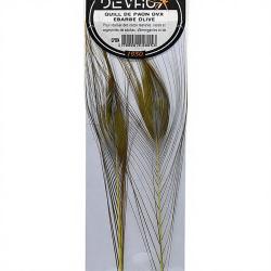 Quill de paon &eacute;barb&eacute;s DEVAUX Olive