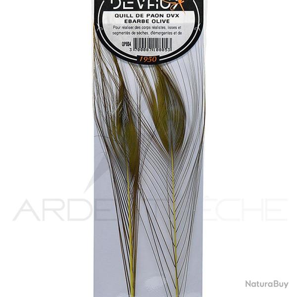 Quill de paon �barb�s DEVAUX Olive